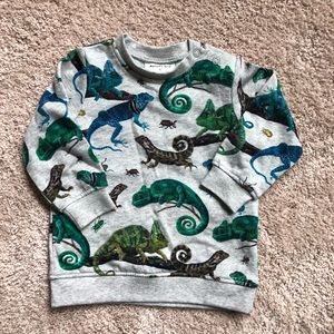 H&M Boys’ Natalie Lete Chameleon Sweatshirt